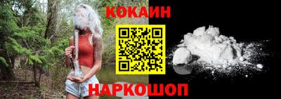 гашик Можга