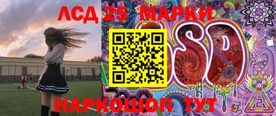 гашик Можга