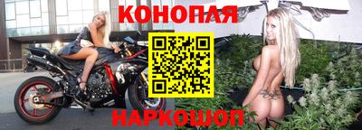 гашик Можга