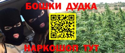 гашик Можга